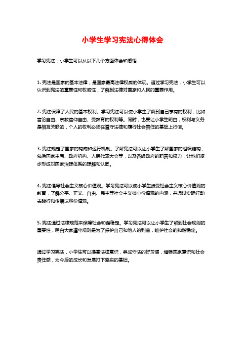 小学生学习宪法心得体会