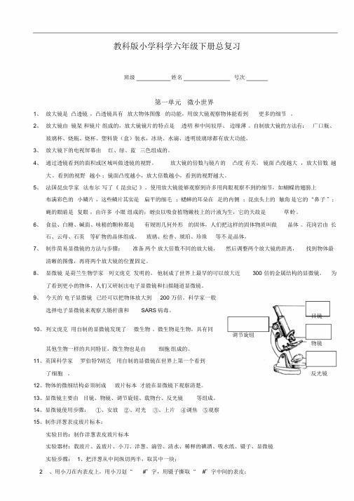 教科版小学科学六年级下册总复习