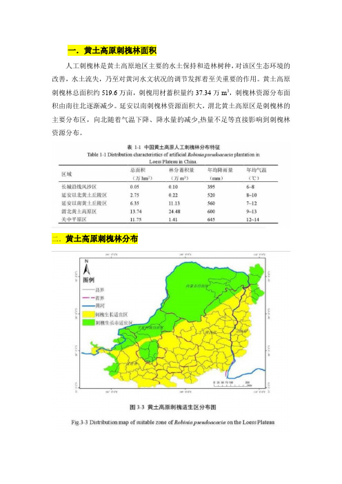 黄土高原刺槐林