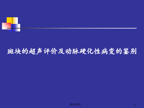 颈总动脉IMT及斑块的界定