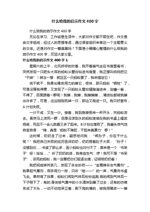 什么给我的启示作文400字