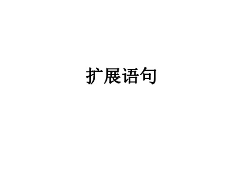 扩展语句(1)