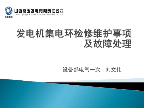 发电机集电环检修维护事项及故障处分解