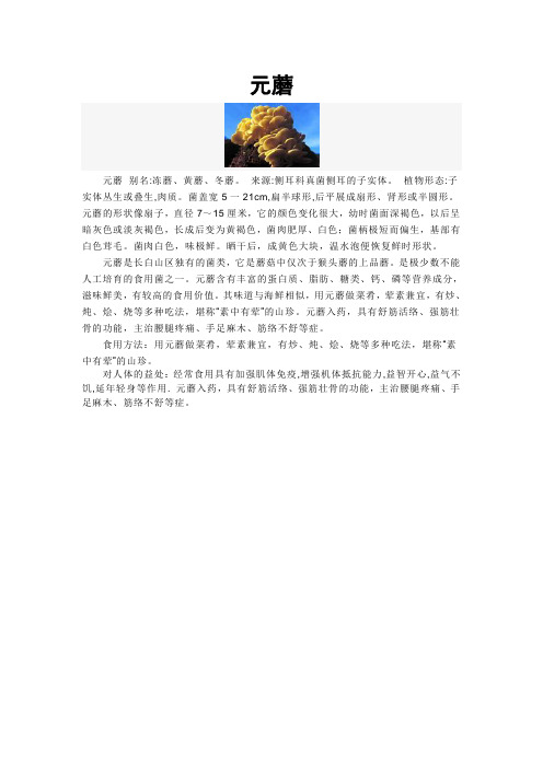 元蘑