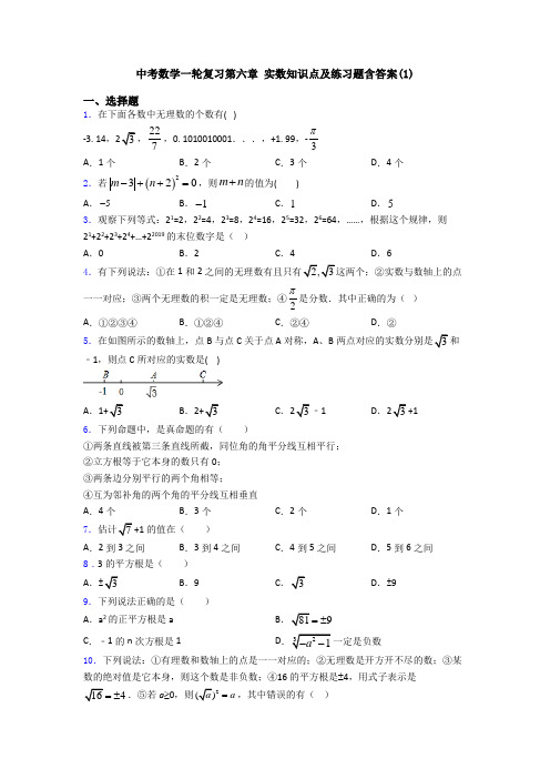 中考数学一轮复习第六章 实数知识点及练习题含答案(1)