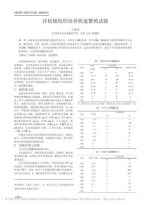 洋桔梗组织培养快速繁殖试验