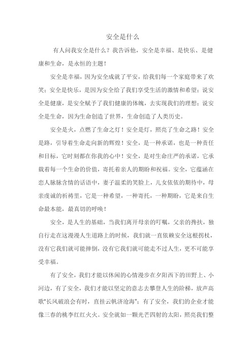 安全是什么
