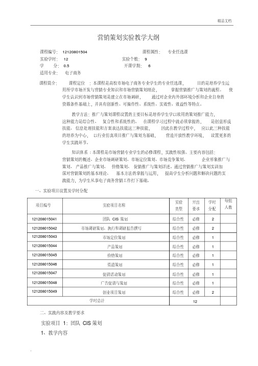 营销策划实践教学大纲