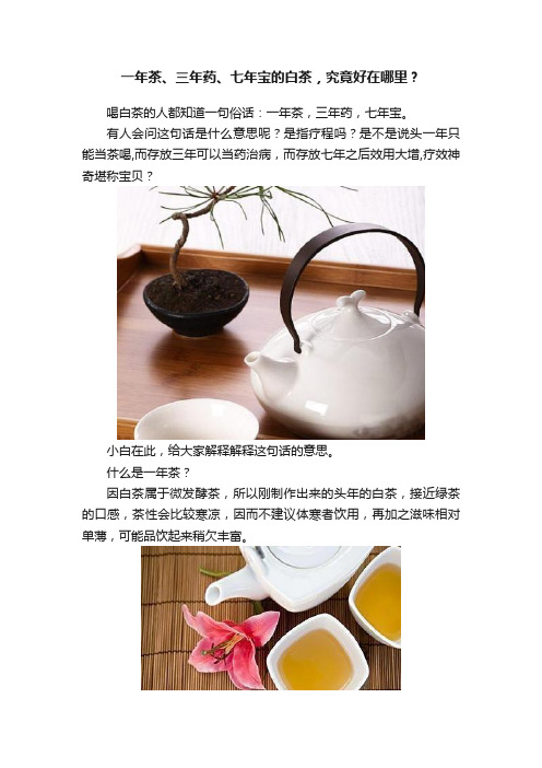 一年茶、三年药、七年宝的白茶，究竟好在哪里？