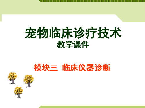 宠物临床诊疗技术PPT课件(共9章)07临床仪器诊断 