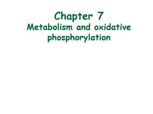 (推荐)《陈代谢与生物能学》PPT课件