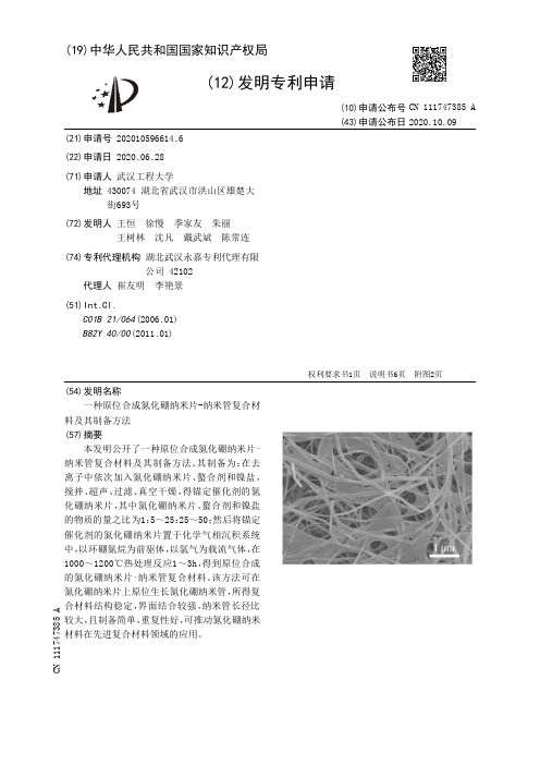 一种原位合成氮化硼纳米片-纳米管复合材料及其制备方法[发明专利]