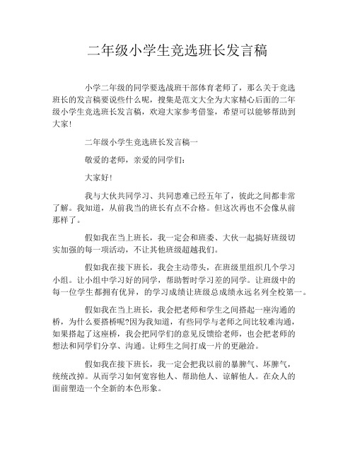 二年级小学生竞选班长发言稿