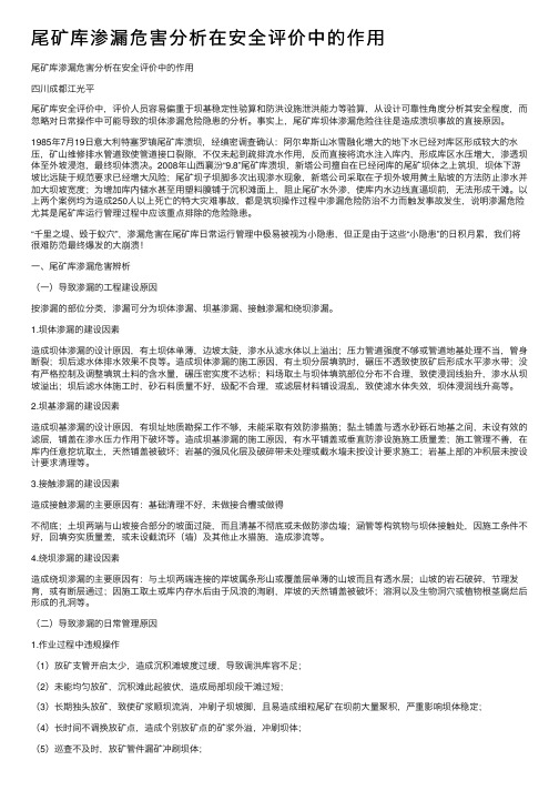 尾矿库渗漏危害分析在安全评价中的作用