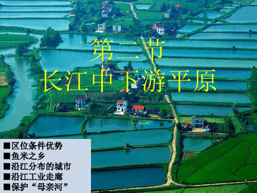 商务星球版八下地理 7.2长江中下游平原 课件  (共29张PPT)