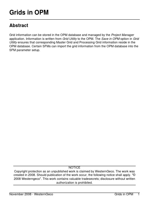 Grids_in_OPM