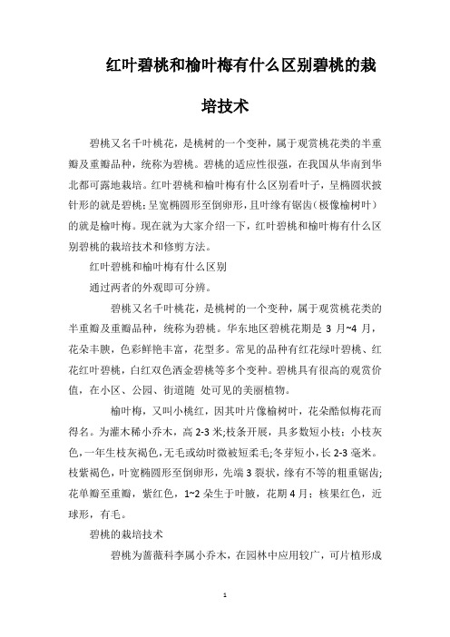 红叶碧桃和榆叶梅有什么区别碧桃的栽培技术