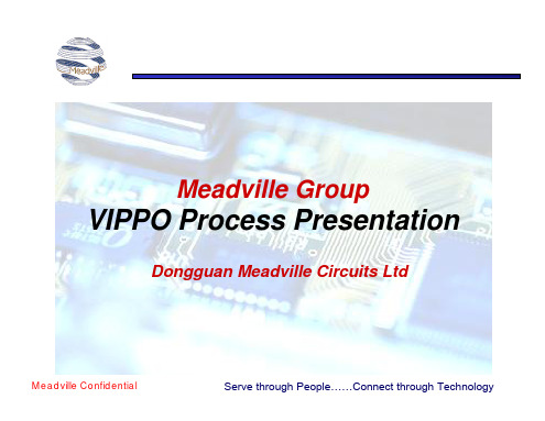 VIPPO presentation