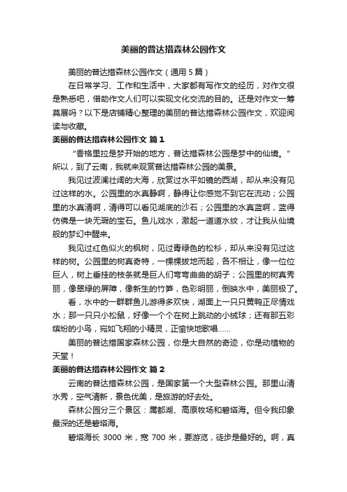 美丽的普达措森林公园作文