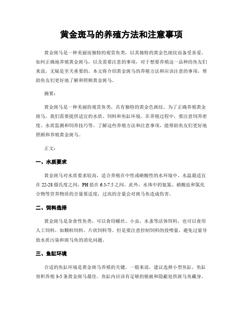 黄金斑马的养殖方法和注意事项