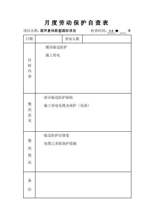 月度劳动保护自查表