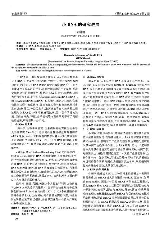 小RNA的研究进展