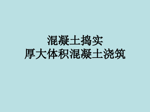 混凝土捣实、厚大体积混凝土浇筑