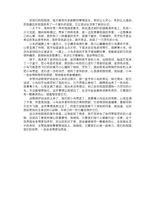 我在校园的意外发现