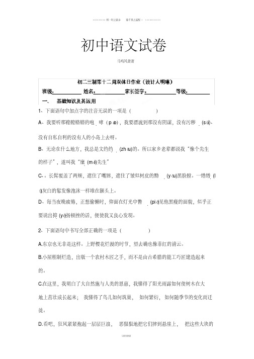 山东省泰山博文中学九年级语文双休日试题：第十二周