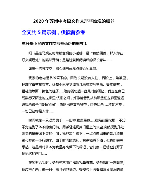 2020年苏州中考语文作文那些灿烂的细节