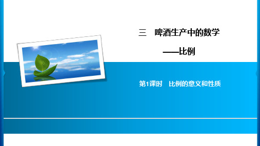 六年级下册数学习题课件-3 第1课时比例的意义和性质 青岛版(共9张PPT)