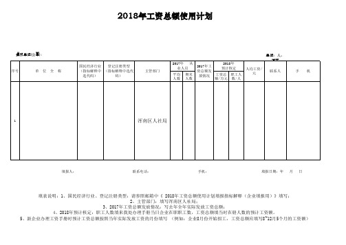 七、2018年工资总额使用计划(1)