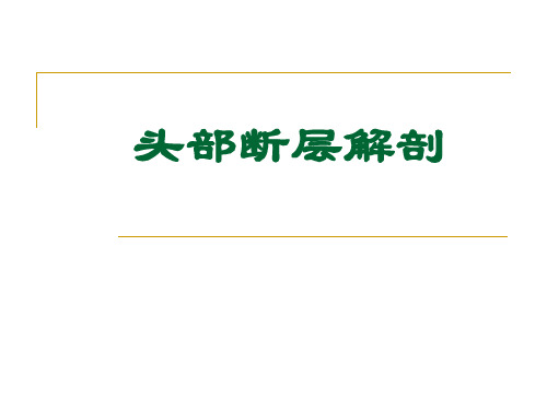 断层解剖学-头部断层解剖学