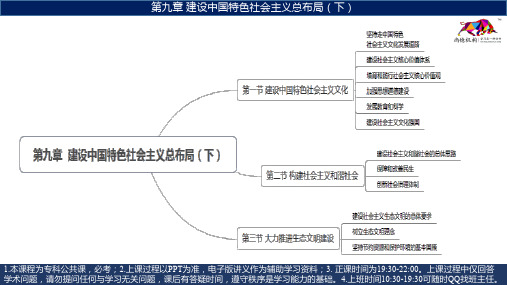 毛中特 第九章 课件