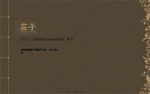 XXXX年东山荘子别墅项目营销策划推广报告58p