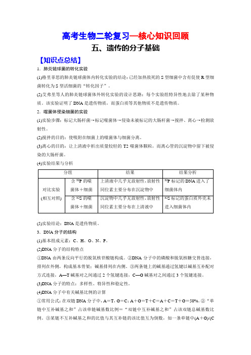 高考生物二轮复习(核心知识回顾)：5、遗传的分子基础