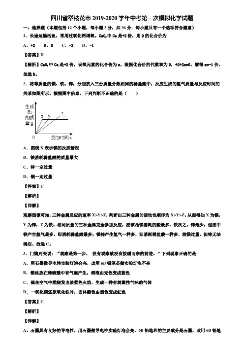 四川省攀枝花市2019-2020学年中考第一次模拟化学试题含解析