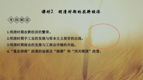 2019届高考历史一轮复习通史课件:阶段五 课时2 明清