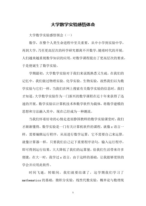 大学数学实验感悟体会