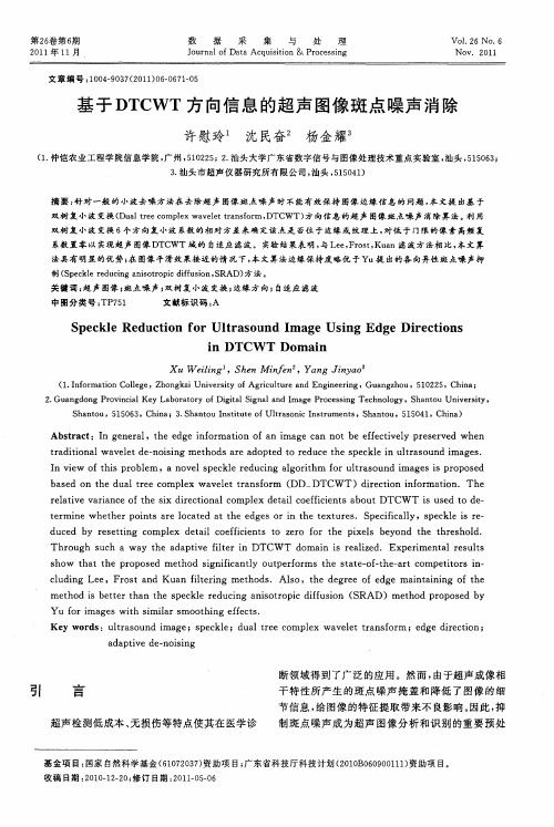 基于DTCWT方向信息的超声图像斑点噪声消除