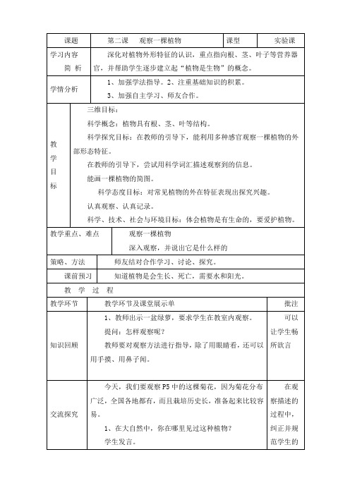 最新教科版一年级科学上册《观察一棵植物》教案