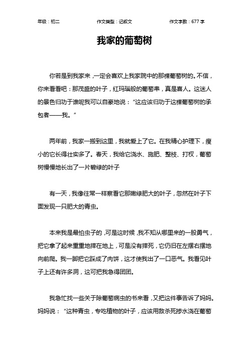 我家的葡萄树作文【初中初二700字】