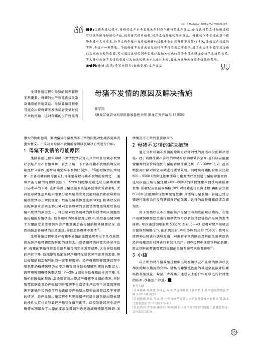 母猪不发情的原因及解决措施