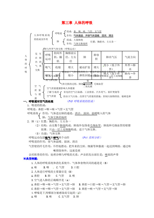 湖北省襄阳市七年级生物下册 4.3 人体的呼吸知识点 (新版)新人教版