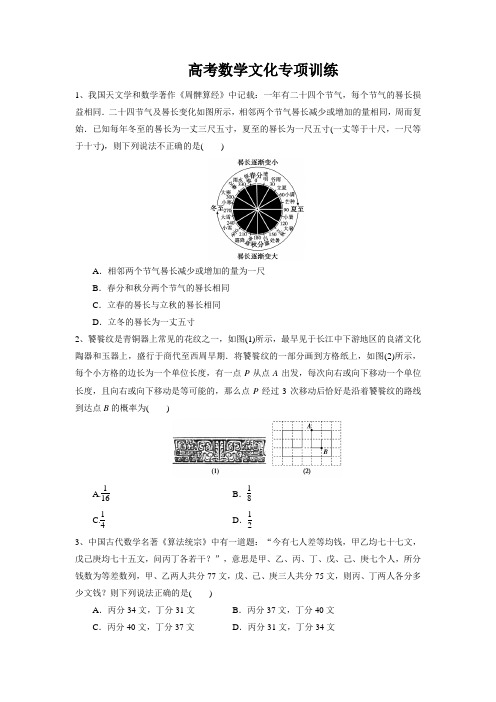 高考数学文化专项训练(原卷版)-高考数学二轮复习