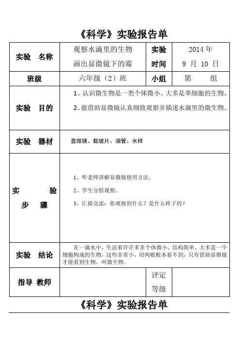 苏教版六年级上册科学实验报告单[1]