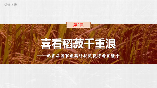 统编版高中语文必修一《喜看稻菽千重浪》PPT教学课件