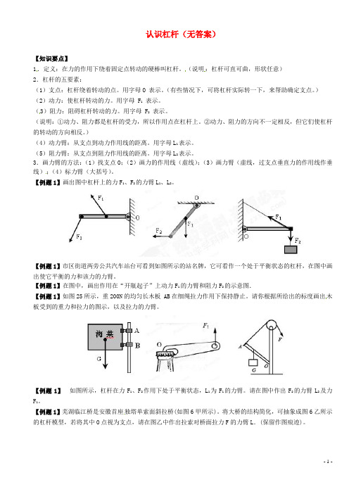 江苏省大丰市万盈二中中考物理总复习 认识杠杆(无答案