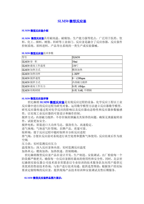 SLM50微型反应釜