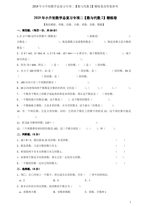 2019年小升初数学总复习专项二【数与代数2】精练卷及答案参考